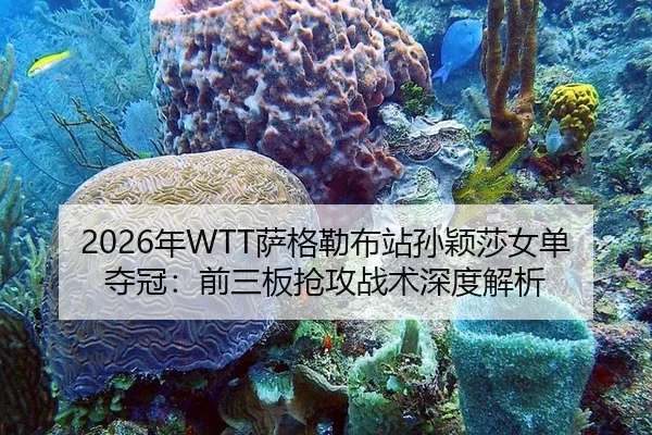 2026年WTT萨格勒布站孙颖莎女单夺冠：前三板抢攻战术深度解析