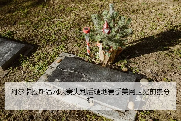a-er-ka-la-si-wen-wang-jue-sai-shi-li-hou-ying-di-sai-ji-mei-wang-wei-mian-qian-jing-fen-xi-3-594.jpg